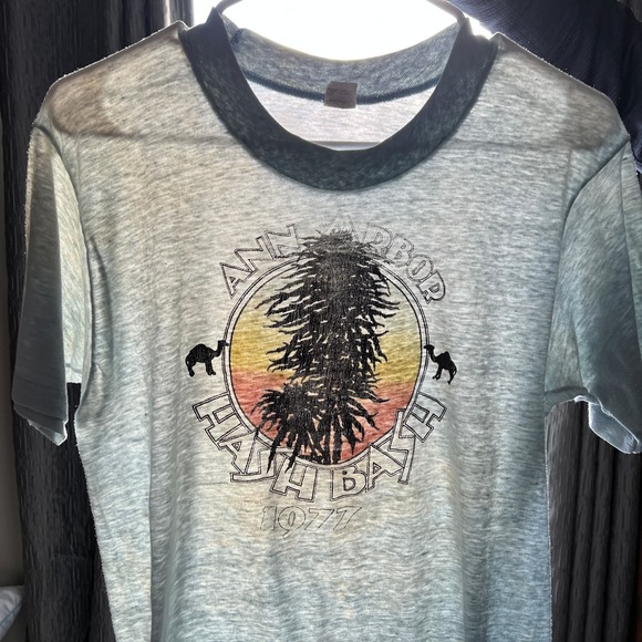 VTG Ann Arbor Hash Bash 1977 T Shirt Fits XS Thin Distressed 420 Protest USA